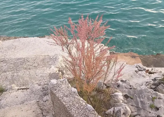 Prázdninový dům Frane, Karlo I Sestre Agnic Donji Okrug (Ciovo)